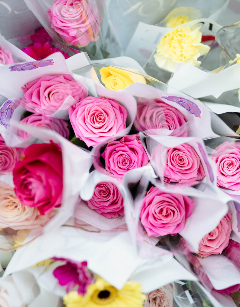 Zile cu Sens Iași 2025